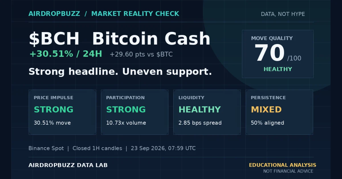 BCH market analysis showing a positive 24-hour move and price, participation, liquidity and persistence scores